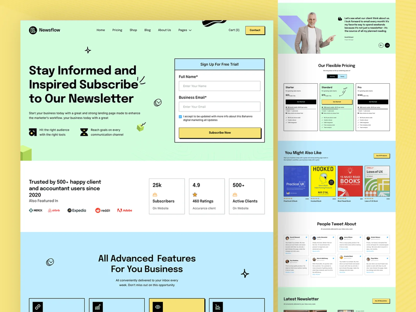 Homepage screenshot: Newsflow: newsletter website concept